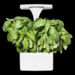 LED Indoor Planter from Short Stories